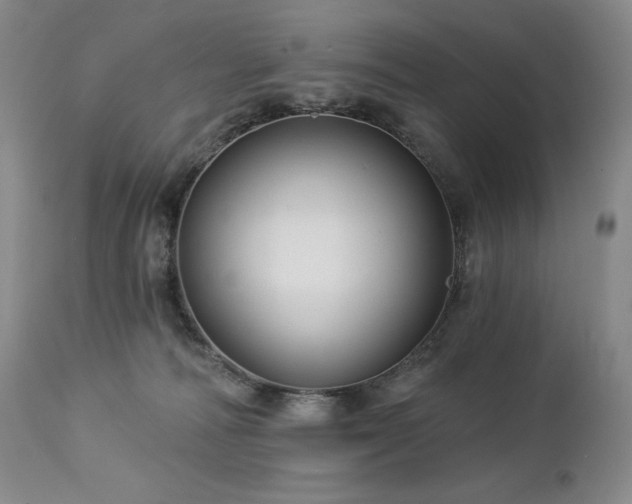 X0000113120226200908281445