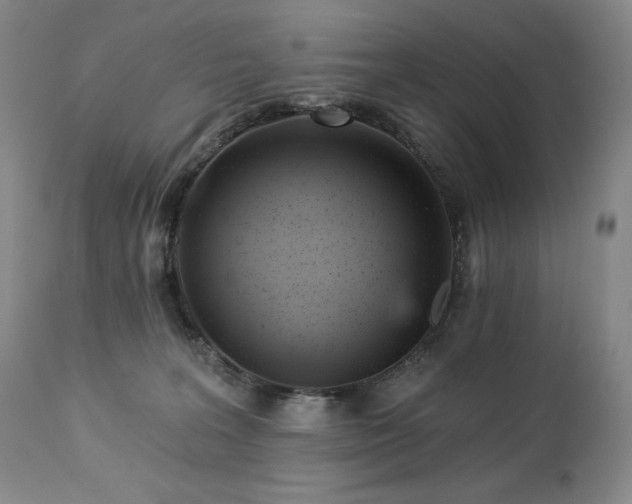 X0000113120227200908281445