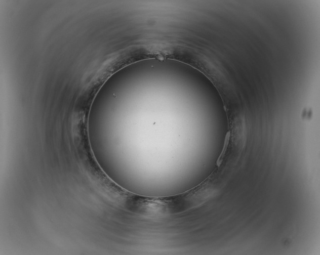 X0000113120229200908281445