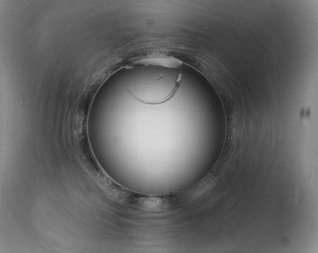 X0000113120230200908281445