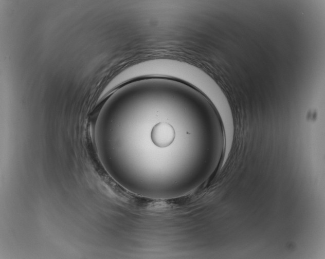 X0000113120231200908281445