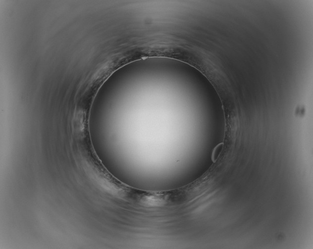 X0000113120232200908281445