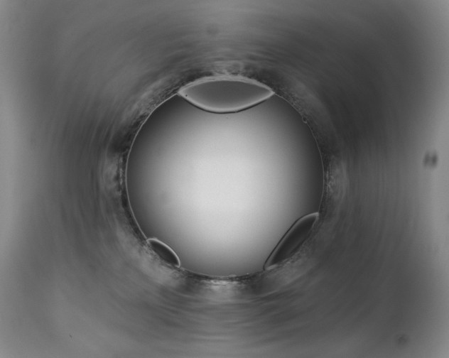 X0000113120233200908281445