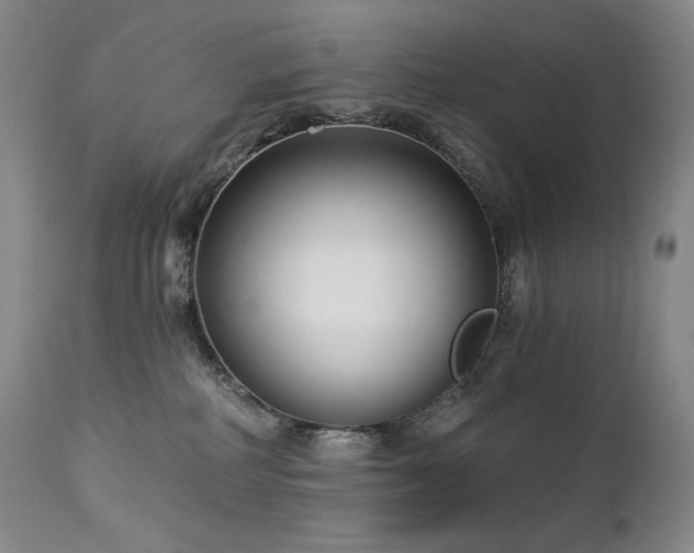 X0000113120234200908281445