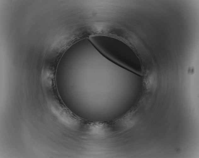 X0000113120235200908281445