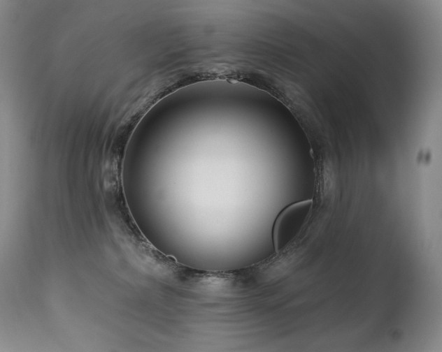 X0000113120236200908281445