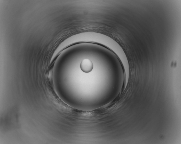 X0000113120237200908281445