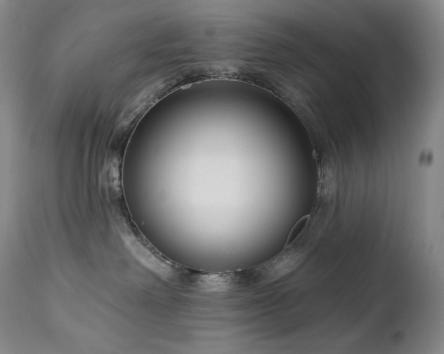 X0000113120238200908281445