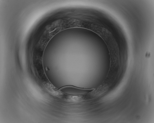 X0000113120239200908281445