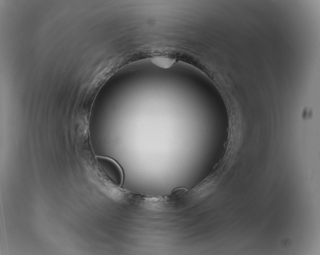 X0000113120240200908281445