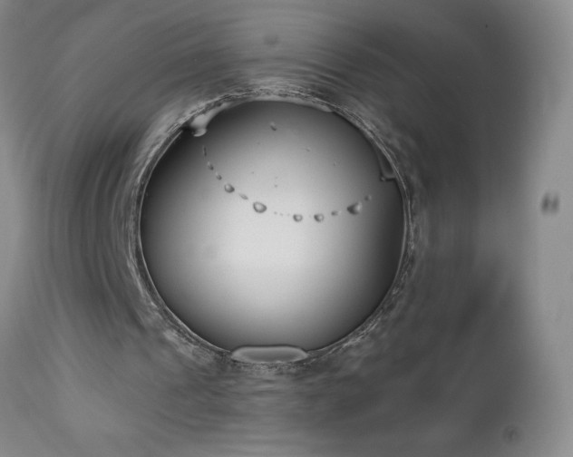 X0000113120241200908281444