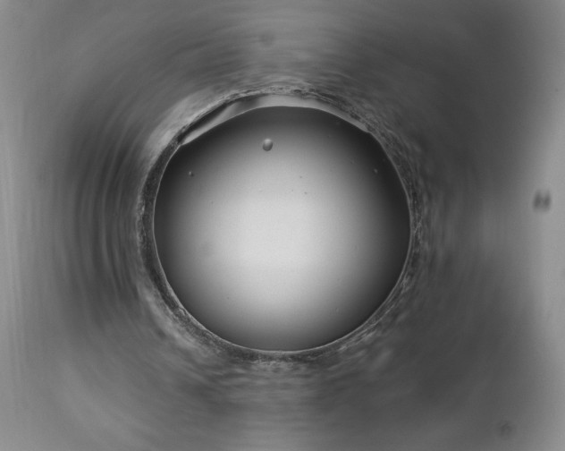 X0000113120242200908281444