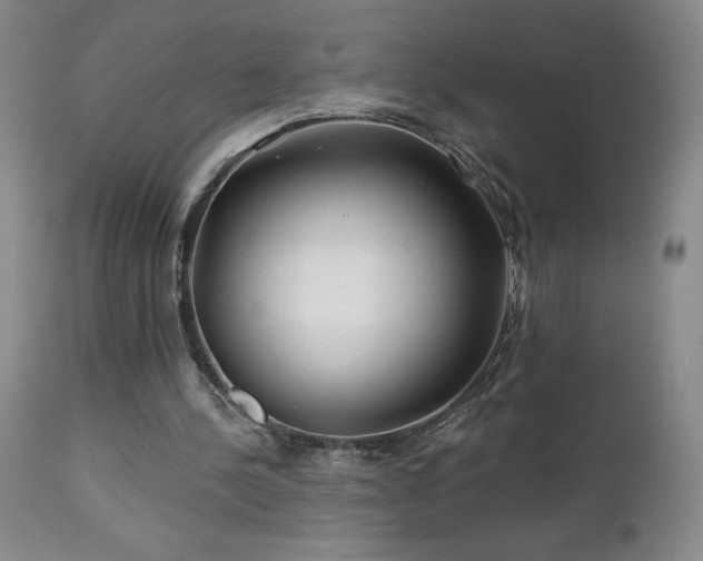 X0000113120244200908281444