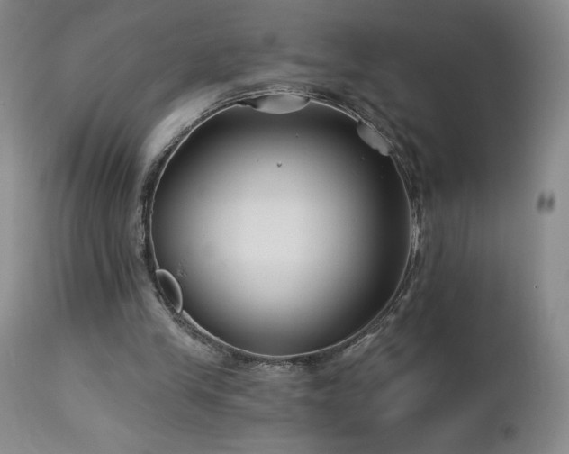 X0000113120245200908281444