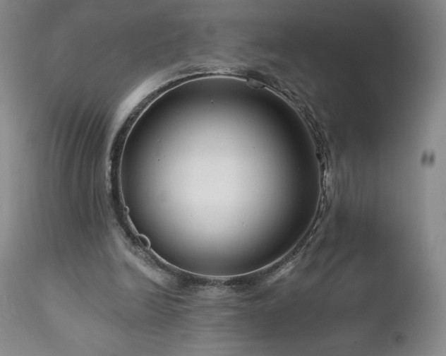 X0000113120246200908281444