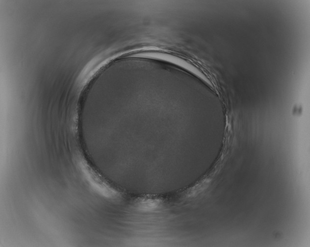 X0000113120247200908281444