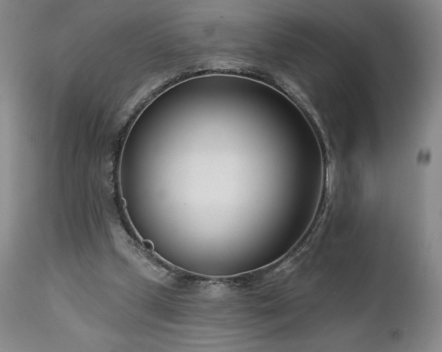 X0000113120249200908281444