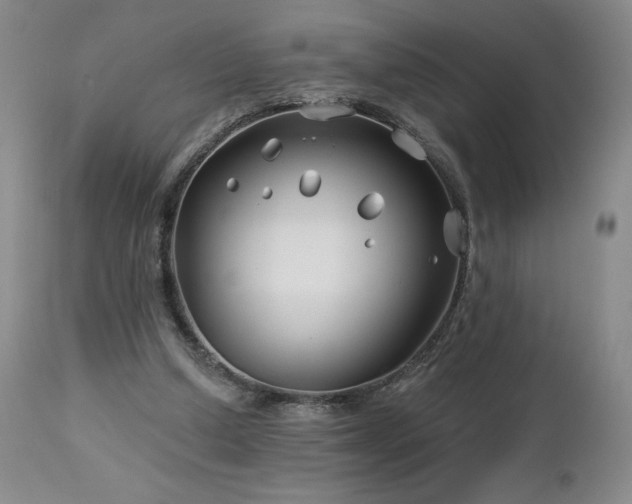 X0000113120250200908281444