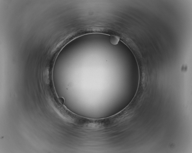 X0000113120251200908281444