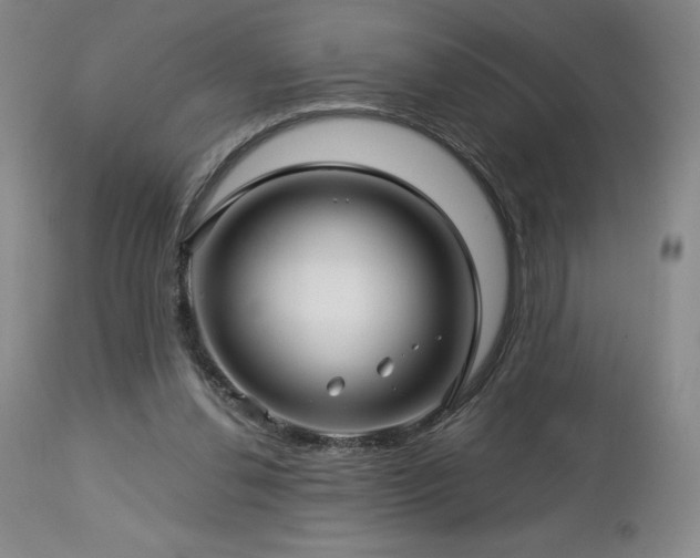 X0000113120252200908281444