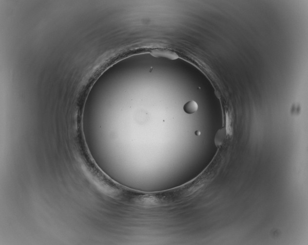 X0000113120253200908281444