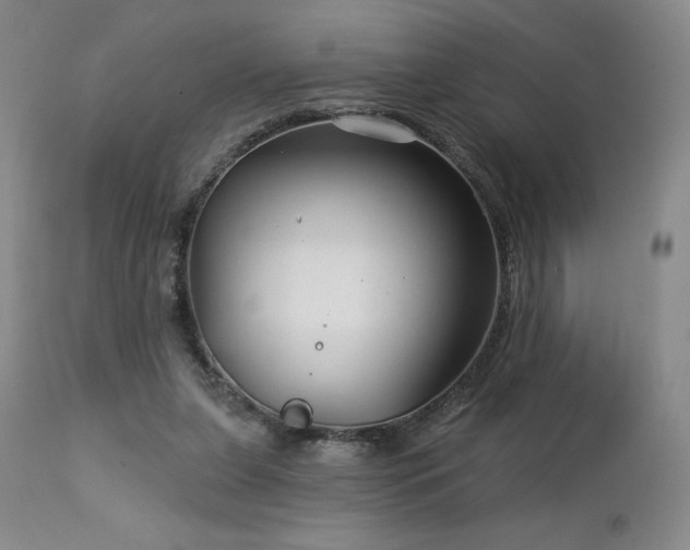 X0000113120255200908281444