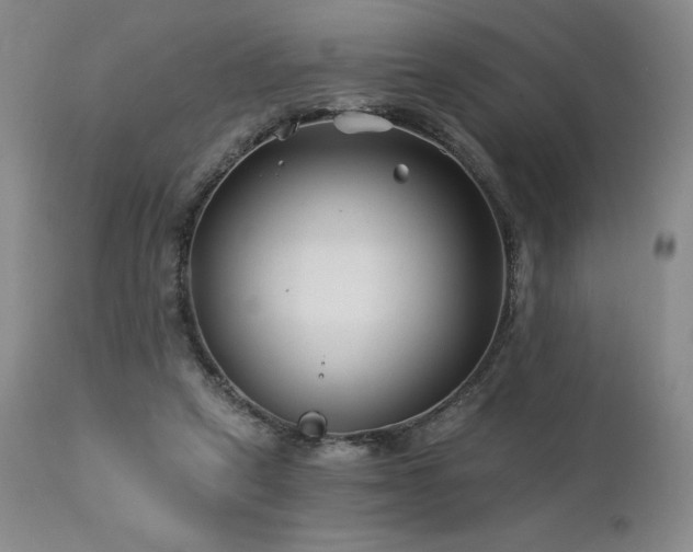 X0000113120257200908281444