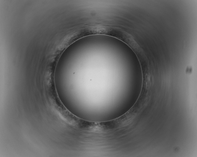 X0000113120259200908281444