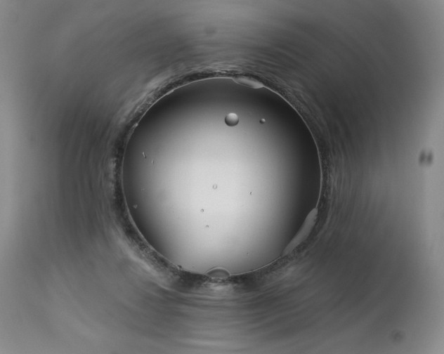 X0000113120260200908281444