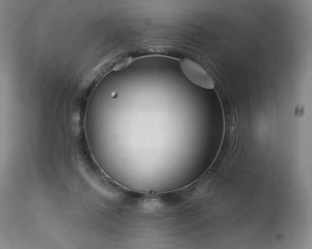 X0000113120262200908281444