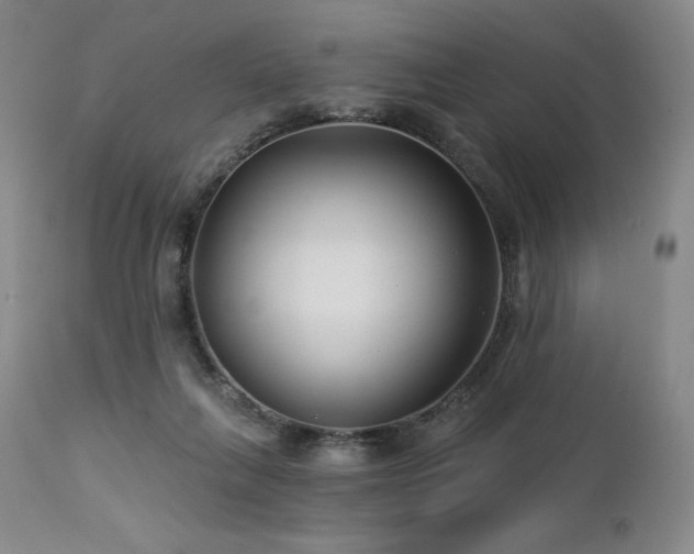 X0000113120263200908281444