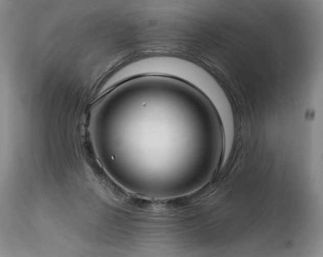 X0000113120264200908281444