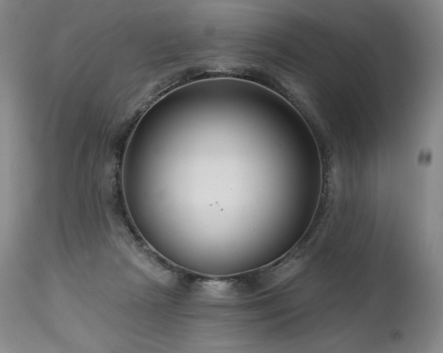 X0000113120265200908281444