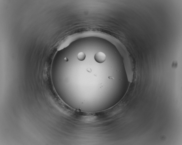 X0000113120266200908281444