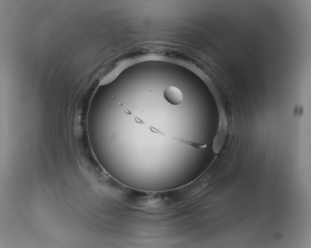 X0000113120267200908281444