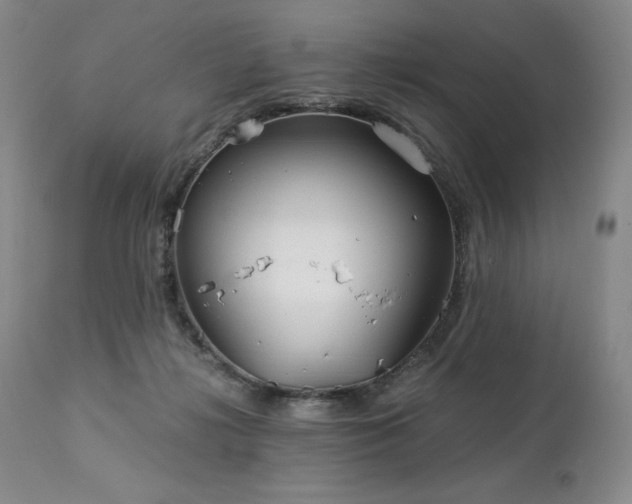 X0000113120268200908281444