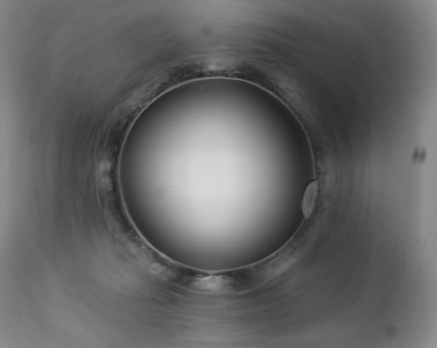 X0000113120269200908281444