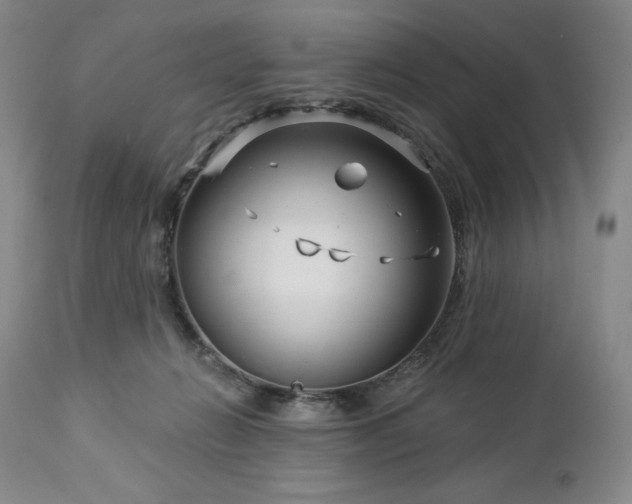 X0000113120270200908281445