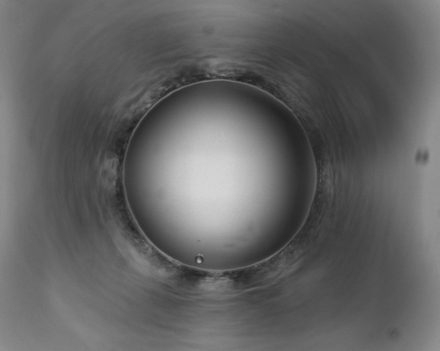 X0000113120271200908281445