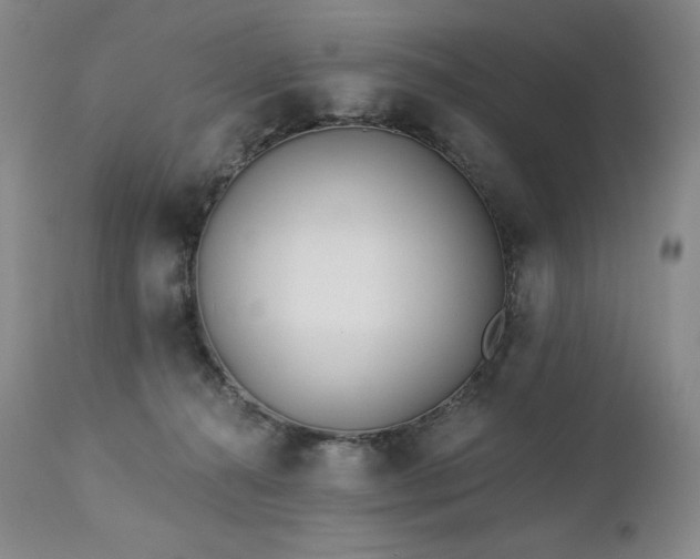 X0000113120272200908281445