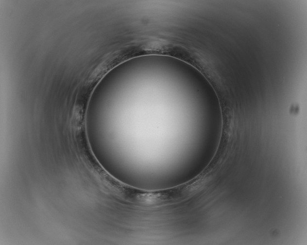 X0000113120273200908281445