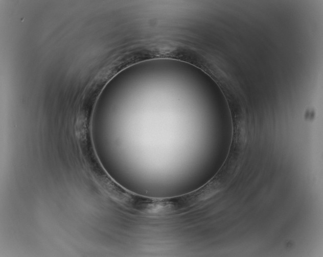 X0000113120274200908281445