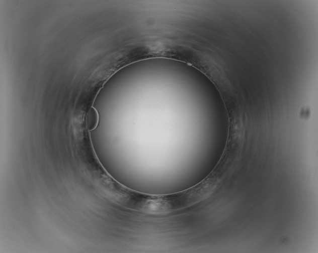 X0000113120275200908281445