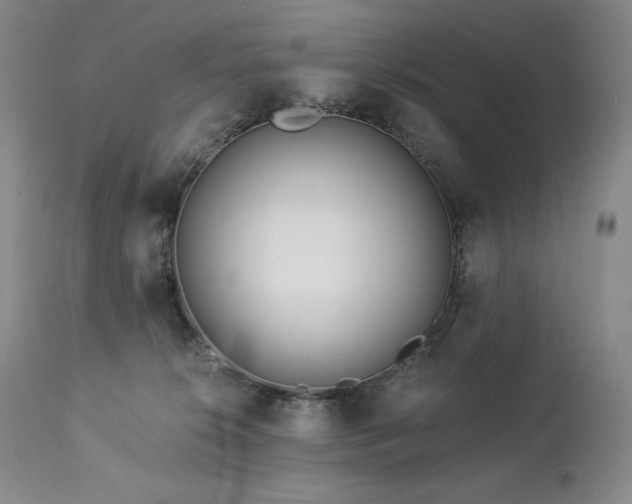 X0000113120276200908281445