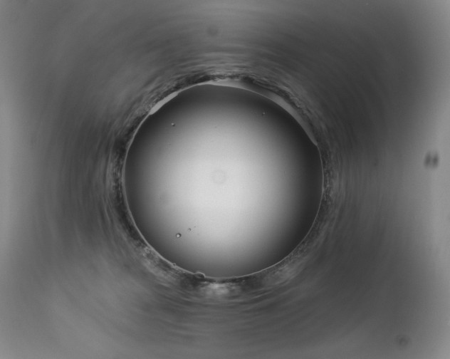 X0000113120277200908281445