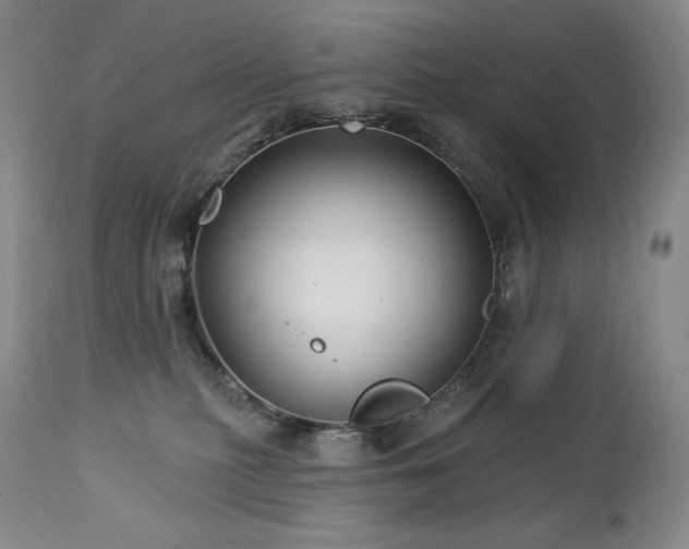 X0000113120279200908281445