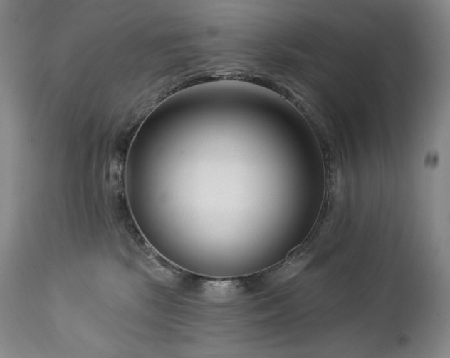 X0000113120281200908281445