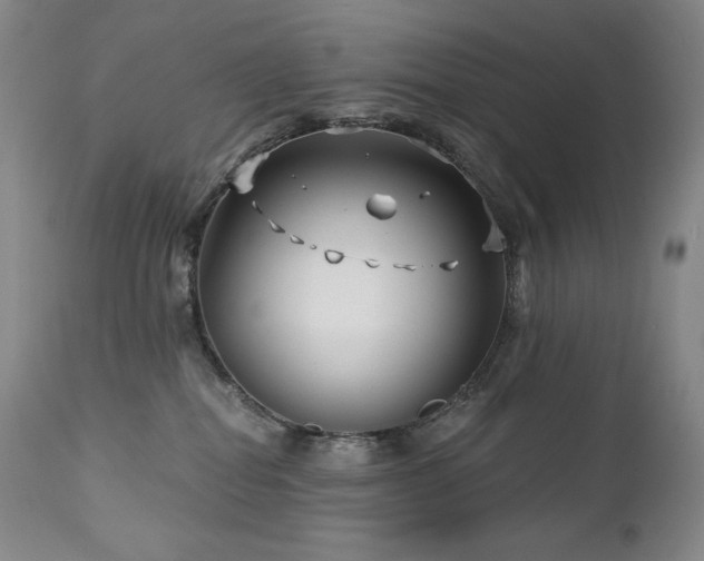 X0000113120282200908281445