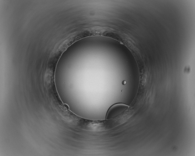 X0000113120283200908281445