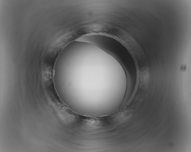 X0000113120284200908281445